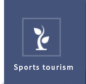 Sports tourism