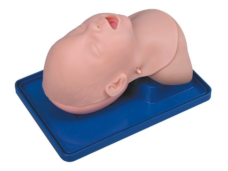 高級嬰兒氣管插管訓練模型HD/3A