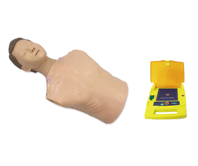 HD/AED98D+ 自动体外模拟除颤与CPR模拟人训练组合