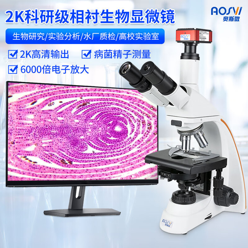 2K科研级细胞壁细胞核拍照录像相衬生物显微镜  L208PS-HD228S V3