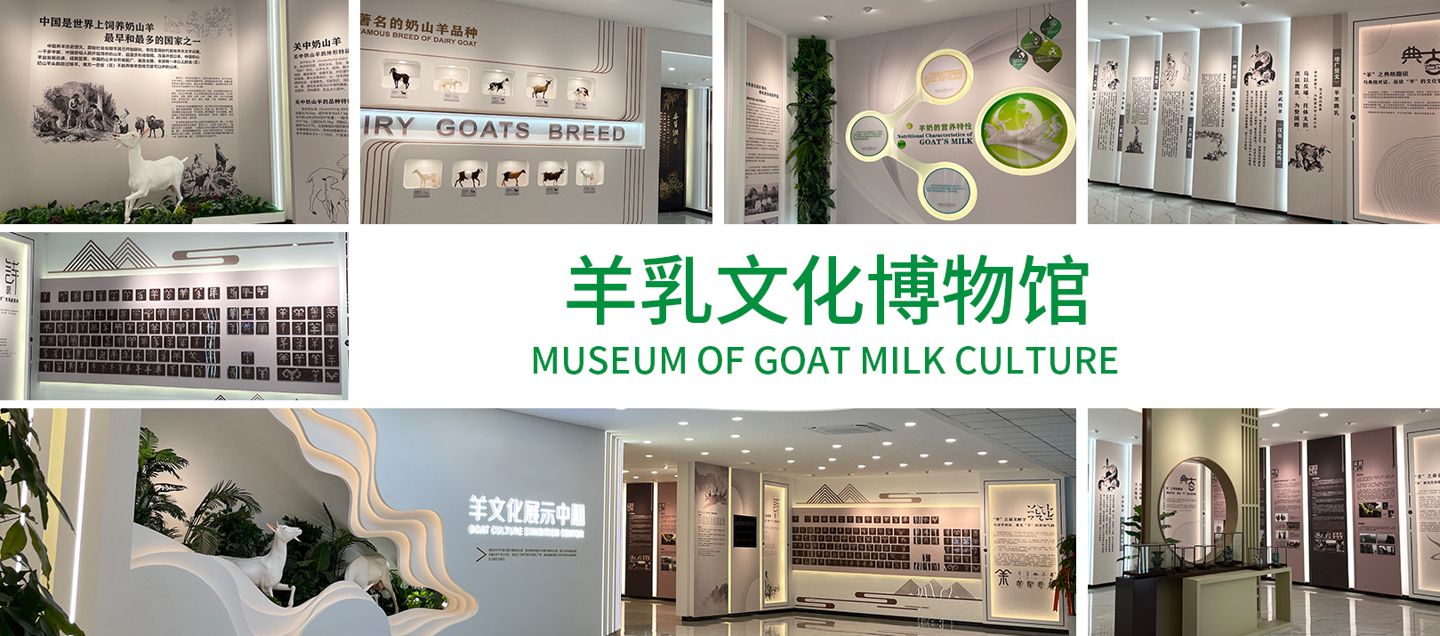 羊乳文化博物馆