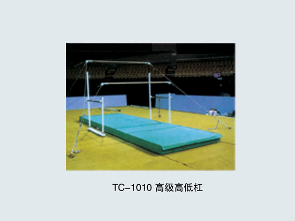 TC-1010 高级高低杠