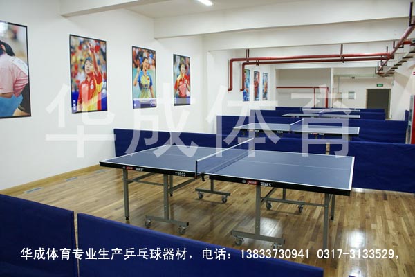 PPQ-1002 可移动折叠乒乓球台