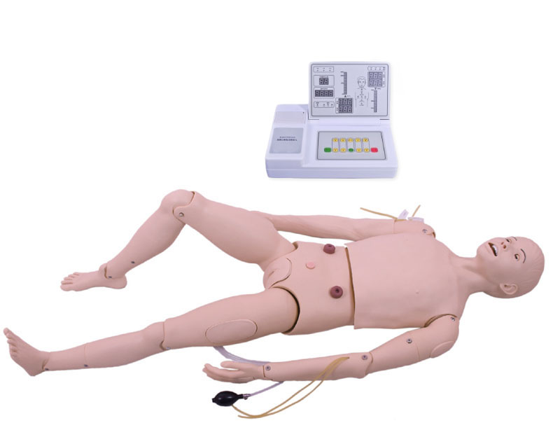 高级成人护理及CPR模型人HD/3000