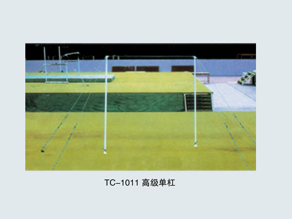  TC-1011 高级单杠