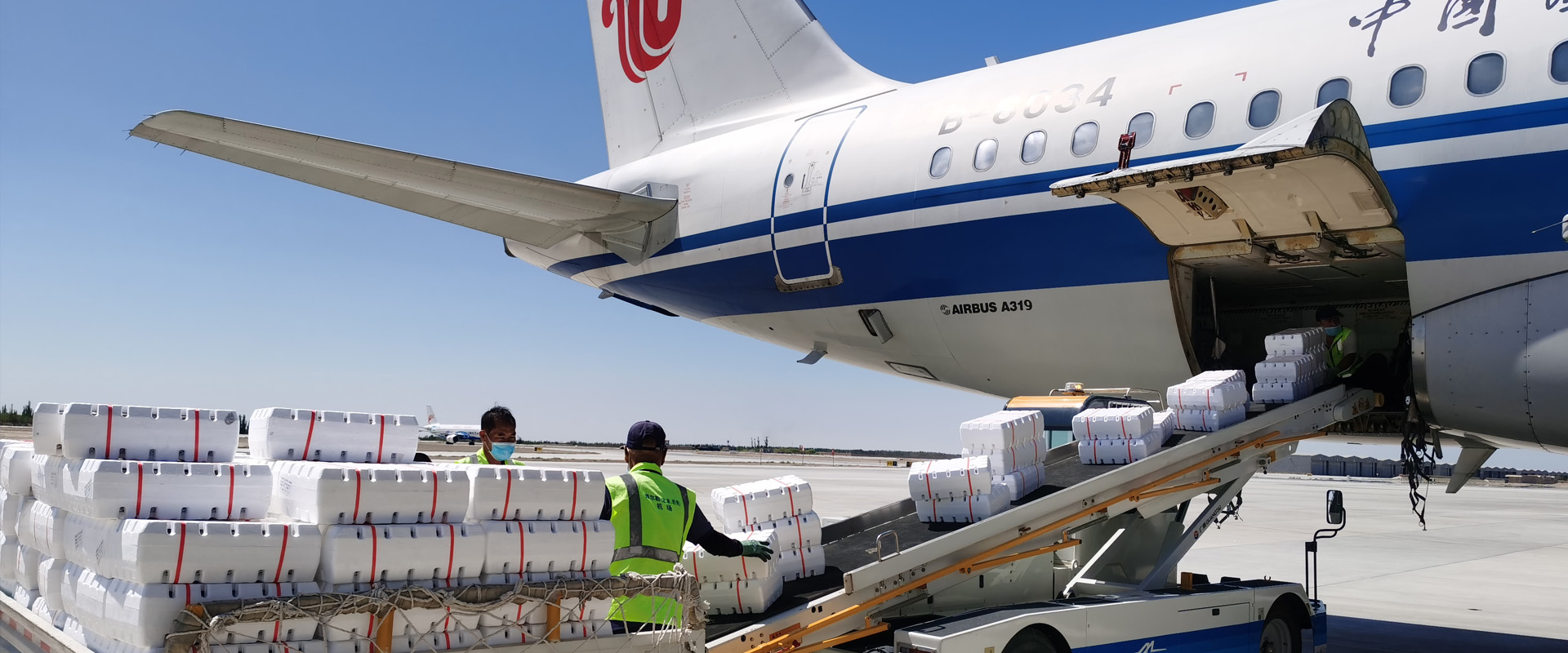 <p>憑借遍布全球的空運物流供應商網絡，</p><p>我們可以為您的貨物按時到達為使命，</p><p>提供最佳的中國南京航空貨運代理解決方案。</p>