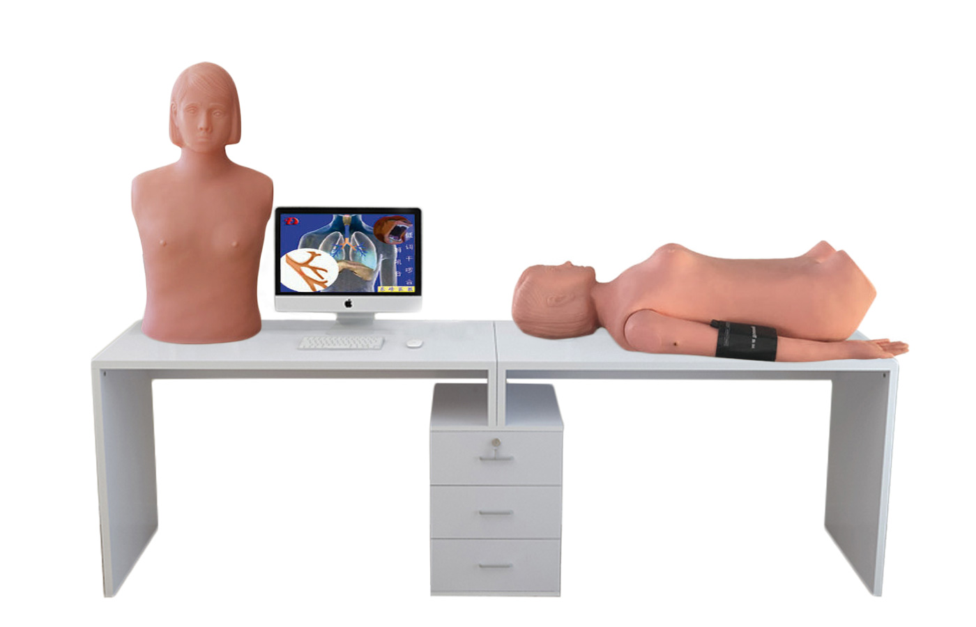 HD/XF9000A 智能型网络多媒体胸腹部检查教学系统