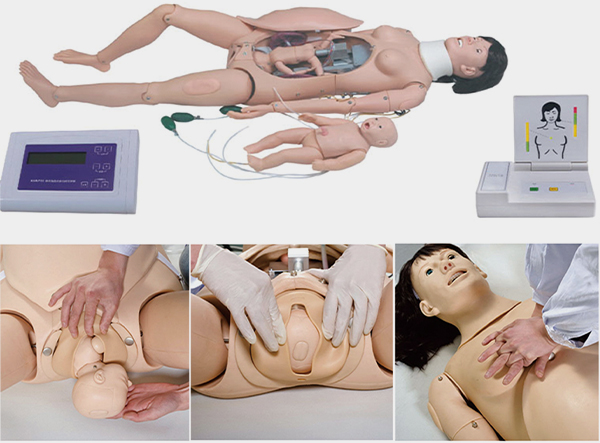 HD/F55  高級分娩與母子急救模型