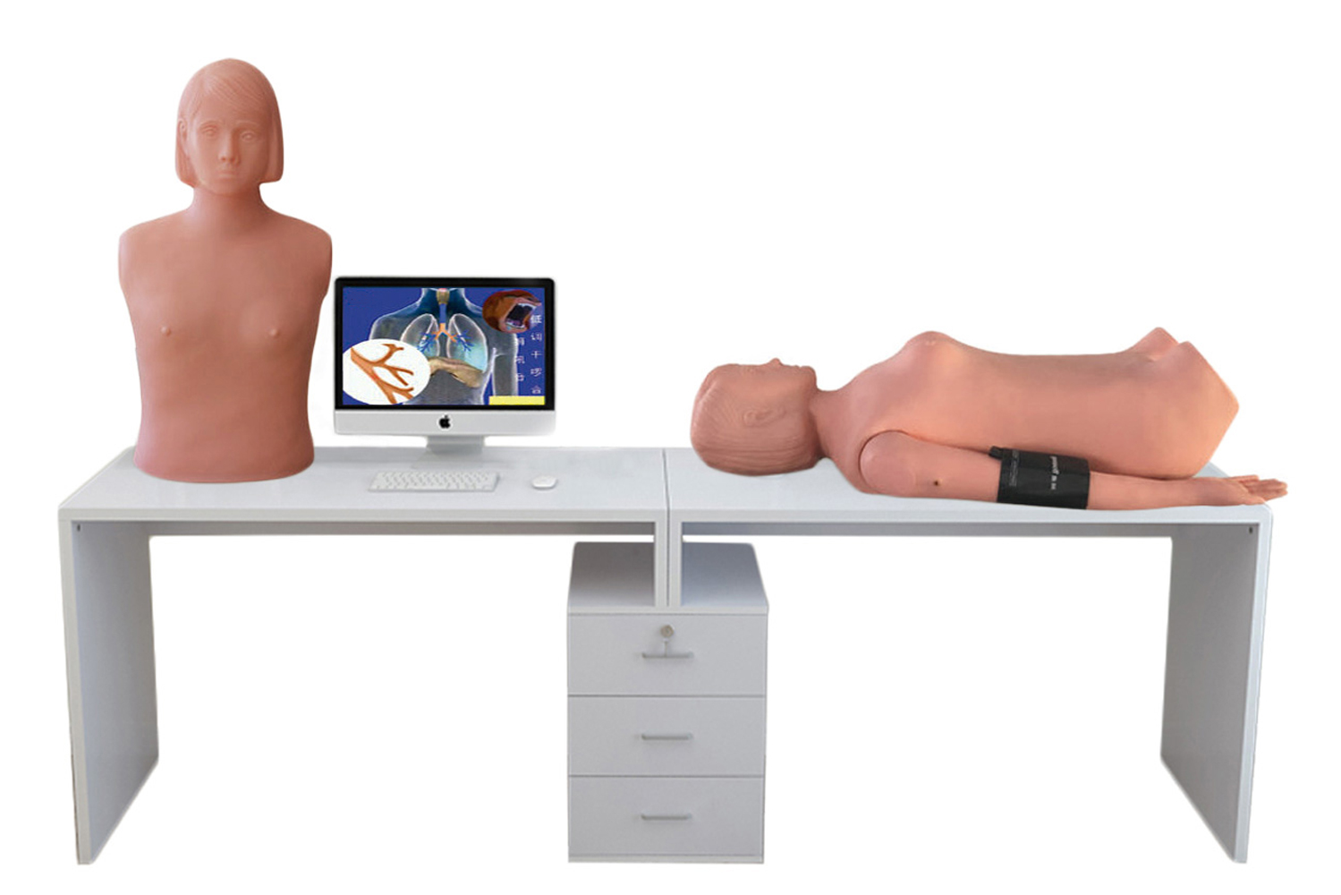 HD/XF9000A 智能型网络多媒体胸腹部检查教学系统