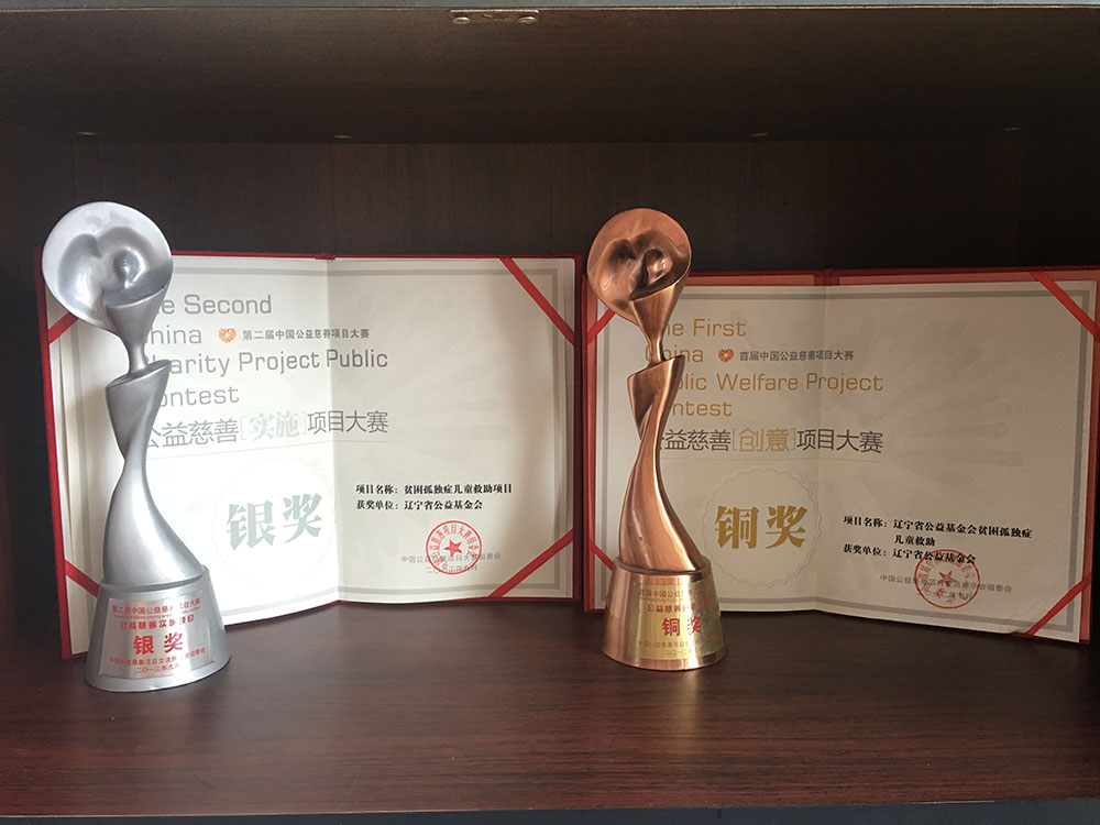 中国慈善项目大赛获奖证书