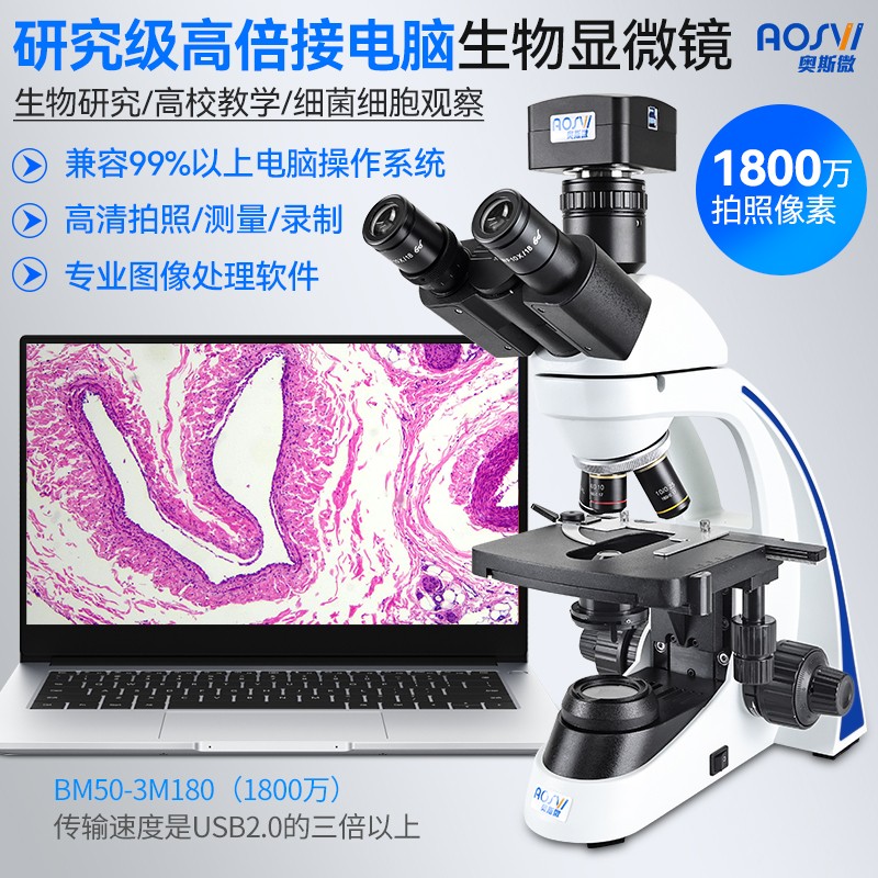 科研级接电脑有限远生物显微镜 BM50-3M180