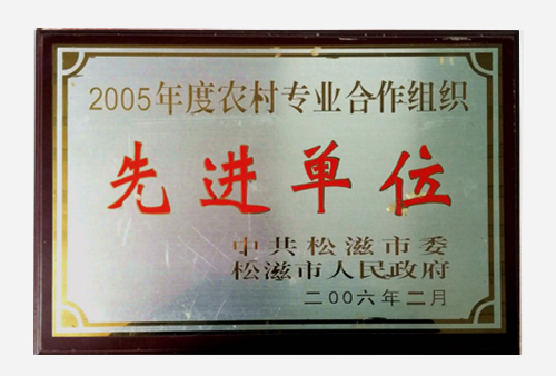 2005年度农村专业合作组织先进单位