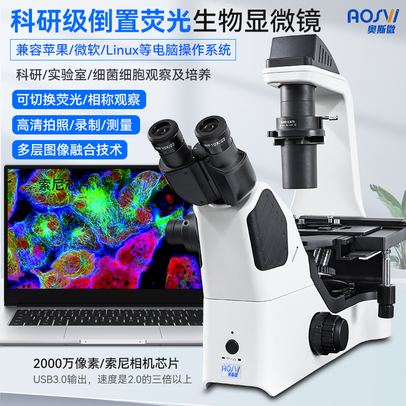 科研级倒置荧光生物显微镜  BX60F-3M2000F
