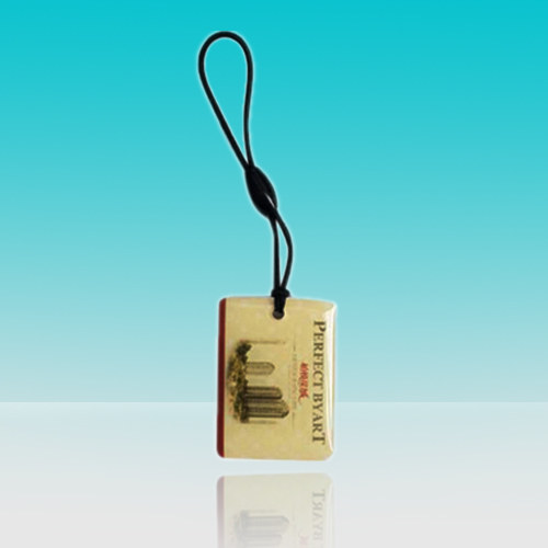 NFC Keychain with Elastic String, Waterproof, Sized 30*53mm, 13.56MHz Working Frequency