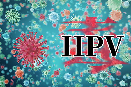 了解HPV