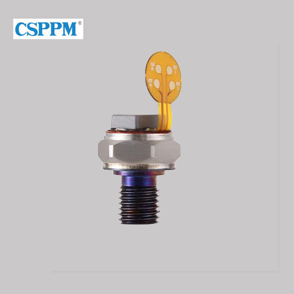 PPM-S1104A Miniature Micro Melt Pressure Sensor