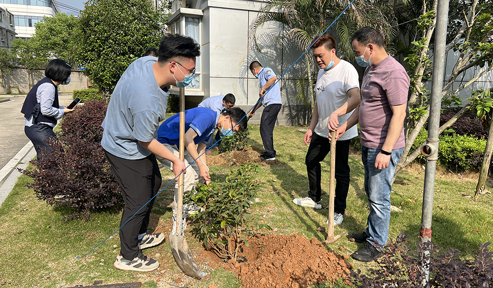 Carry out tree planting activities
